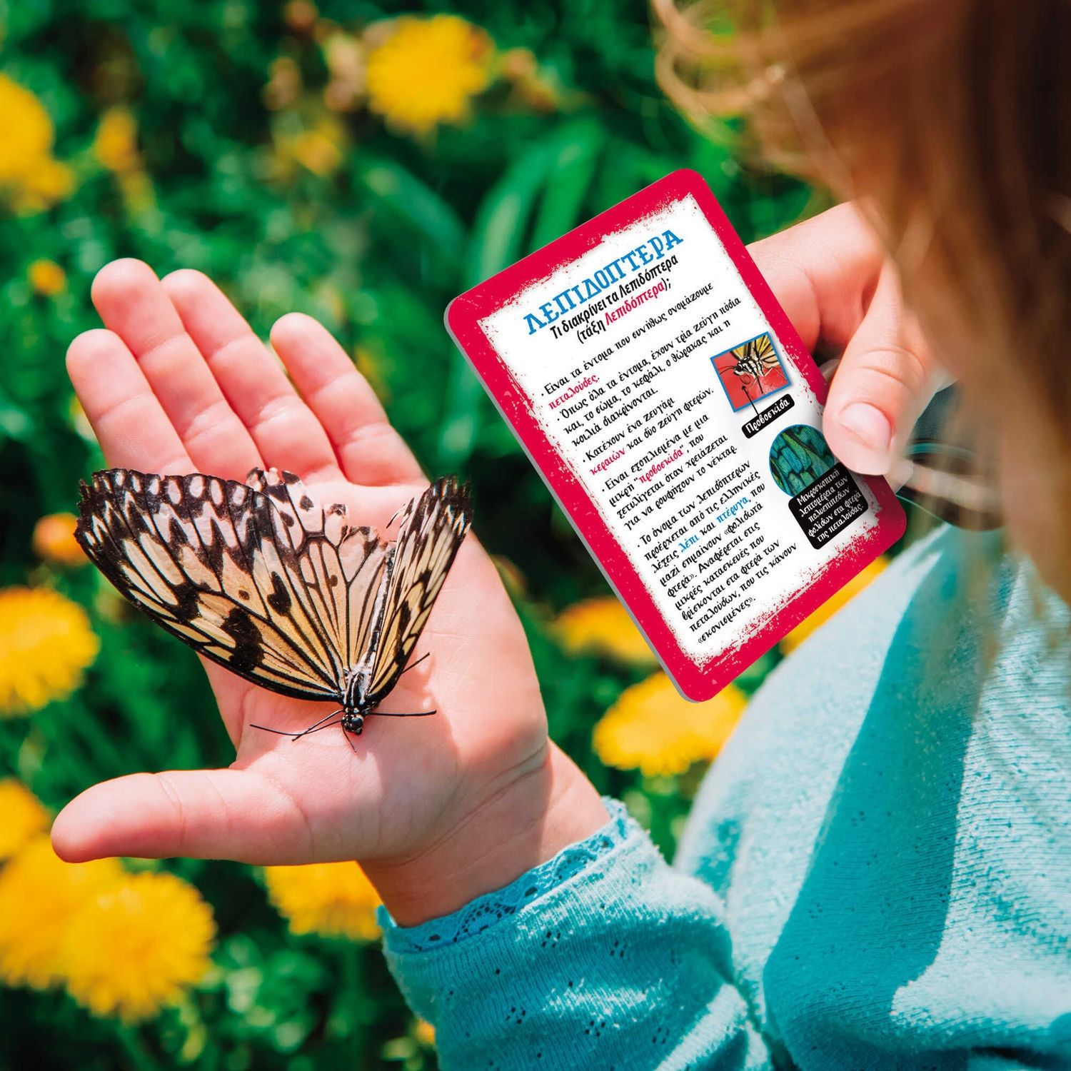 Εργαστήριο Εξερεύνησης Lisciani - Σετ Νεαρού Εξερευνητή με Κιάλια, Πυξίδα & Φακό 102624