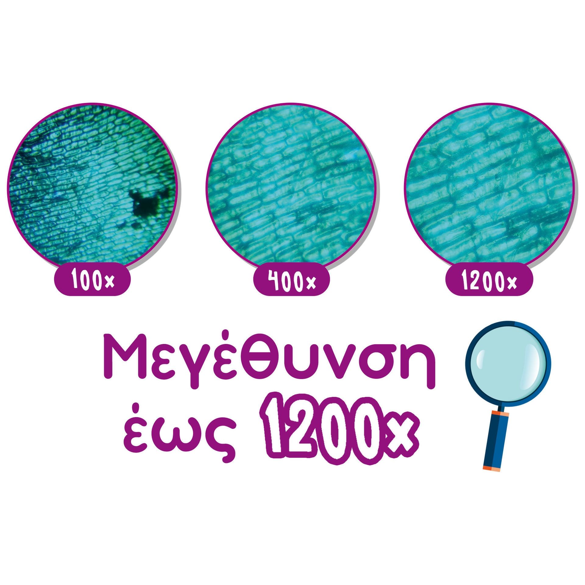 Μέγα Επιστημονικό Εργαστήριο με Μικροσκόπιο 1200x Lisciani - 120+ Πειράματα 89338